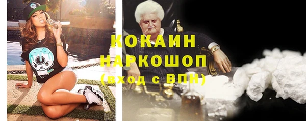 дживик Абинск