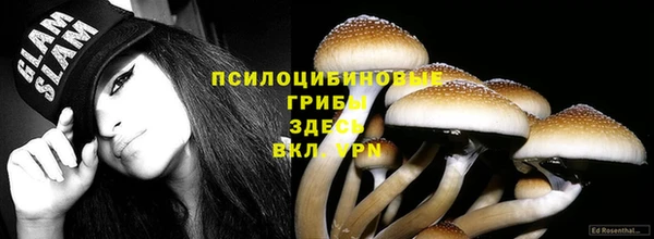 мет Абаза